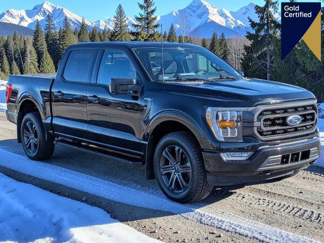 Certified 2022 Ford F150 XLT w/ Equipment Group 302A High