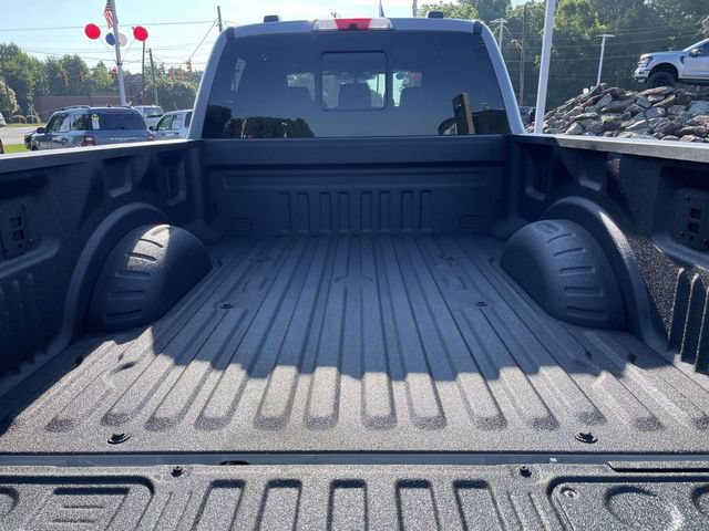 Certified 2024 Ford F250 Platinum w/ FX4 Off-Road Package AWD/4WD image 9