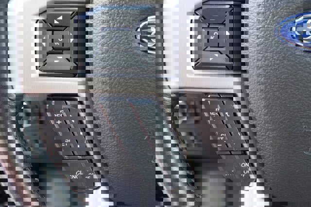 Certified 2020 Ford F150 Platinum w/ Equipment Group 701A Luxury image 22