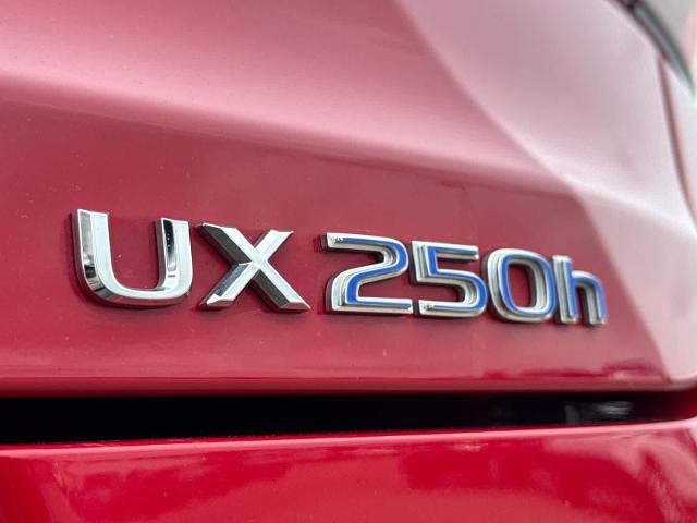 Used 2020 Lexus UX 250h F Sport w/ F Sport Premium Package AWD/4WD image 13