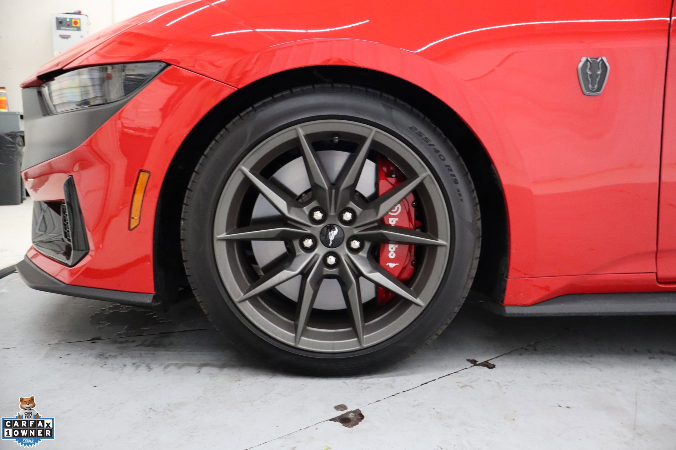 Certified 2025 Ford Mustang Dark Horse image 12