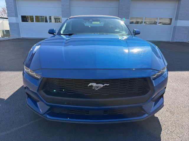 Certified 2024 Ford Mustang Premium image 11