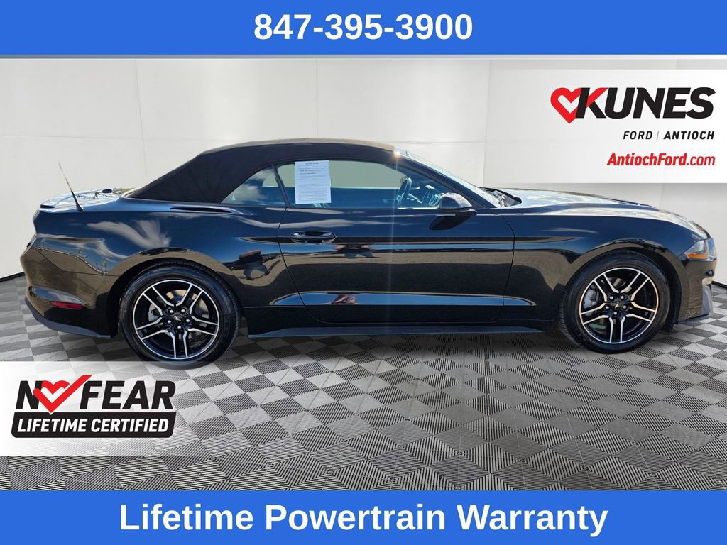 Certified 2022 Ford Mustang Premium image 12