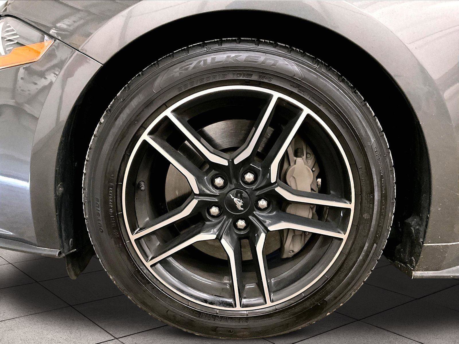 Certified 2019 Ford Mustang GT RWD image 8