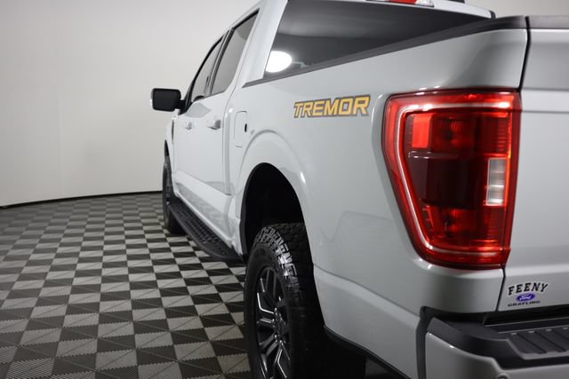 Certified 2023 Ford F150 Tremor AWD/4WD image 30