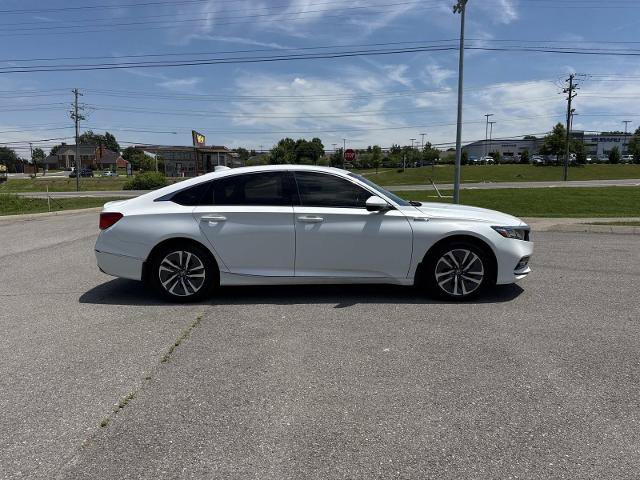 Used 2019 Honda Accord EX-L image 4