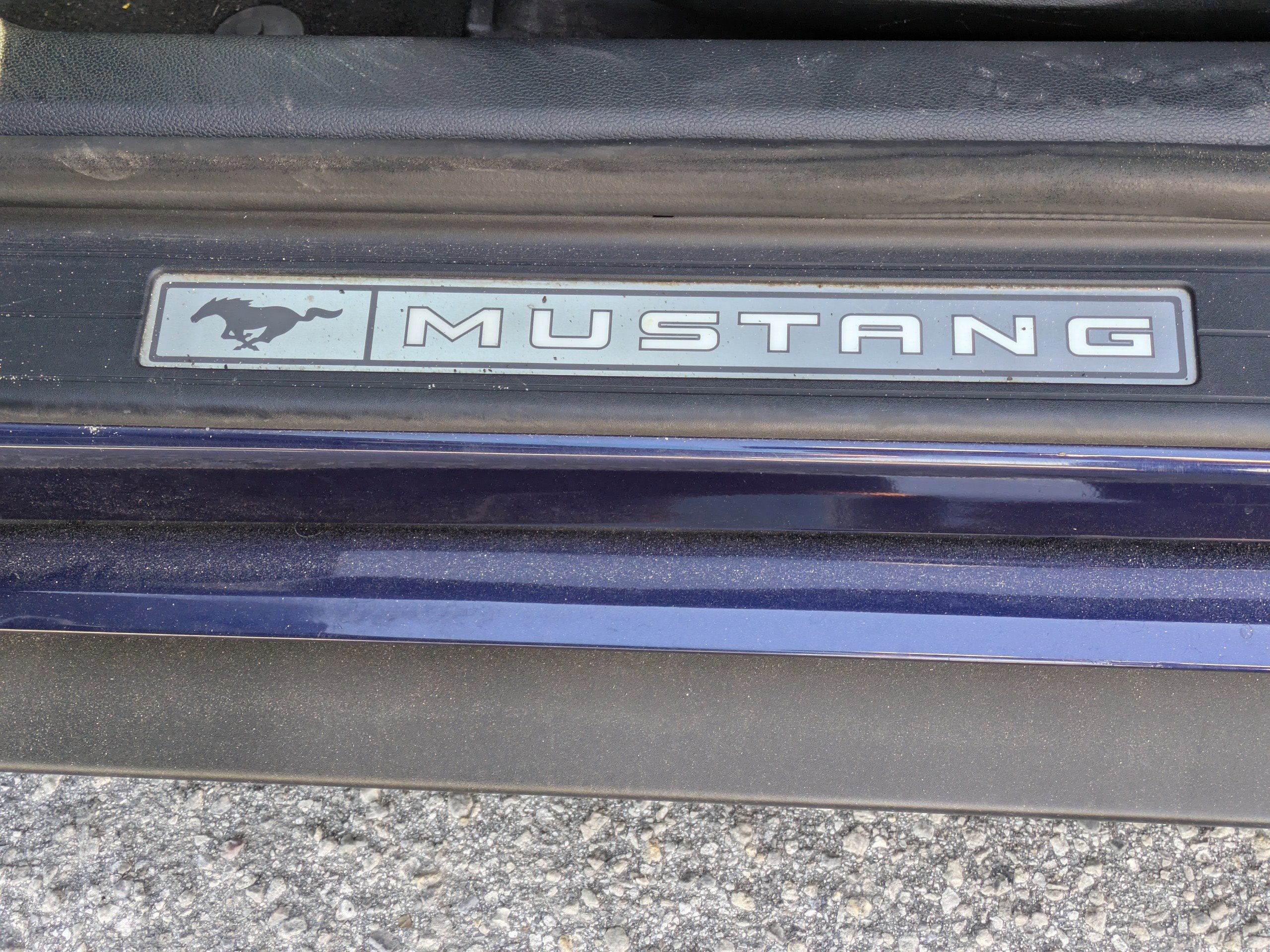 Certified 2019 Ford Mustang Premium image 12