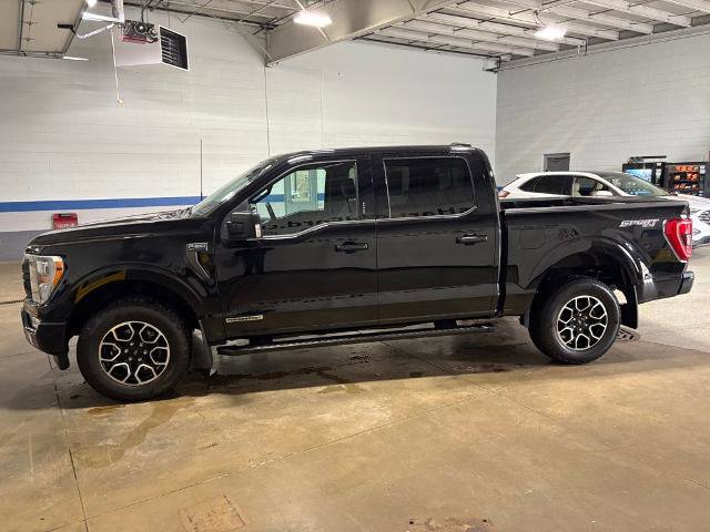 Certified 2023 Ford F150 XLT w/ Equipment Group 302A High AWD/4WD image 5