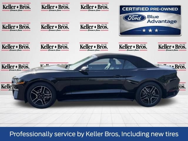 Certified 2019 Ford Mustang Premium RWD image 4
