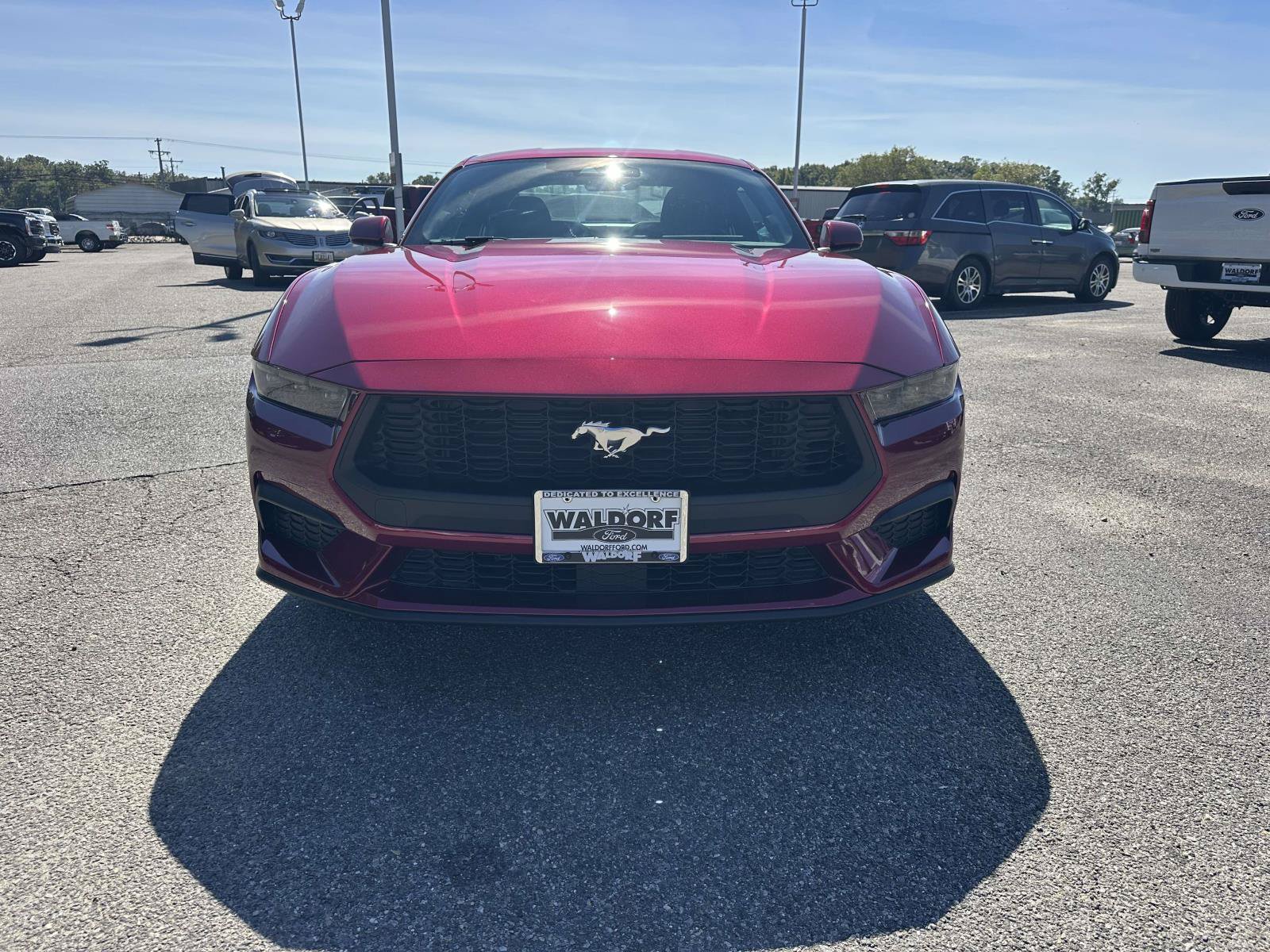 Certified 2026 Ford Mustang Coupe RWD image 2