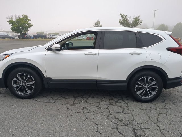 Used 2020 Honda CR-V EX-L image 7