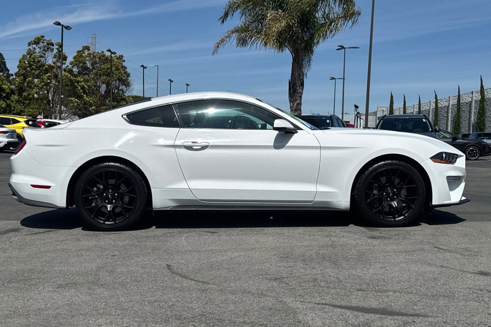 Certified 2018 Ford Mustang Premium w/ Ecoboost Performance Package RWD video 3