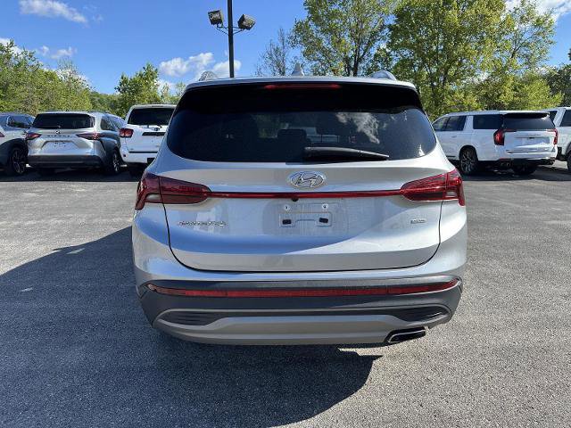 Used 2023 Hyundai Santa Fe SEL AWD/4WD image 3