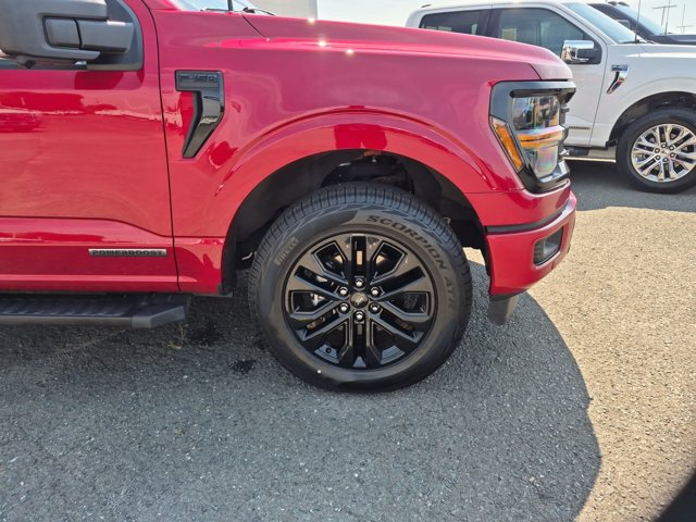 Certified 2024 Ford F150 XLT w/ Equipment Group 303A High AWD/4WD image 11