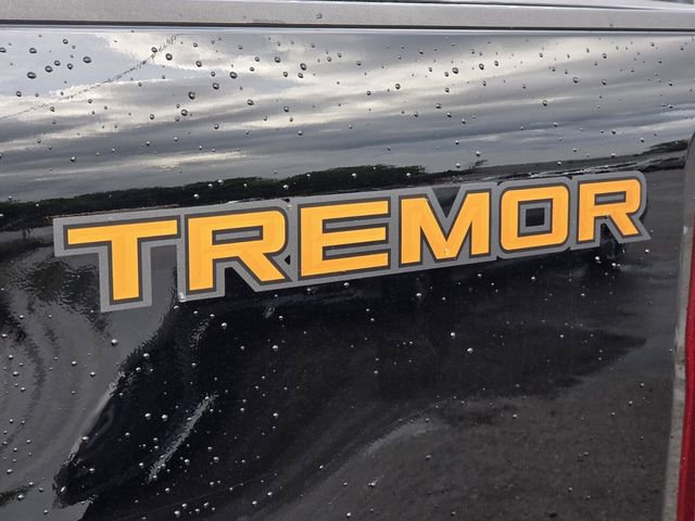 Certified 2024 Ford F250 XLT w/ Tremor Off-Road Package AWD/4WD image 8