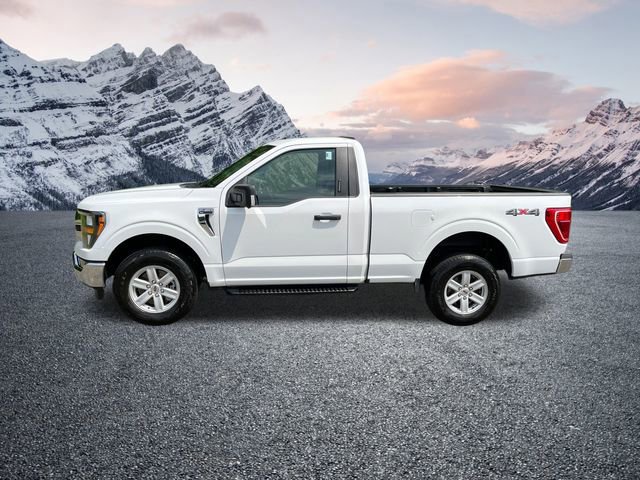 Certified 2023 Ford F150 XLT w/ Equipment Group 301A Mid image 6