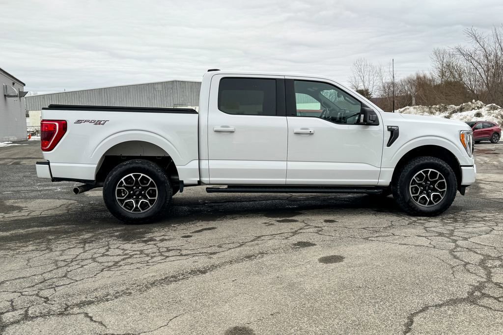 Certified 2023 Ford F150 XLT w/ Equipment Group 302A High image 7