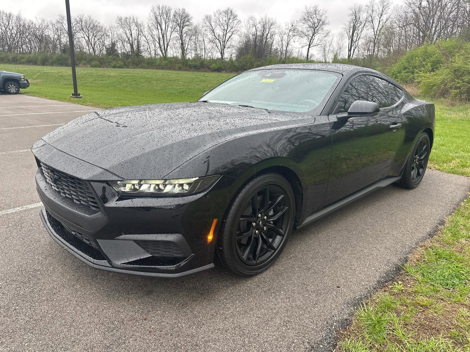 Certified 2024 Ford Mustang Premium image 3