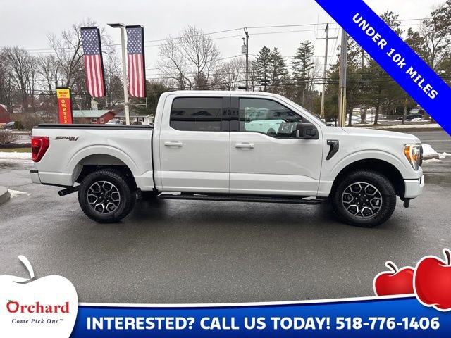 Certified 2023 Ford F150 XLT w/ Equipment Group 302A High image 5