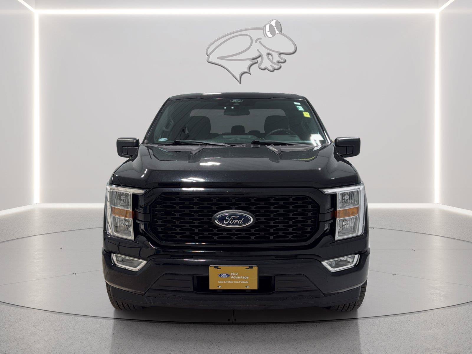 Certified 2021 Ford F150 XL w/ Equipment Group 101A High RWD image 8