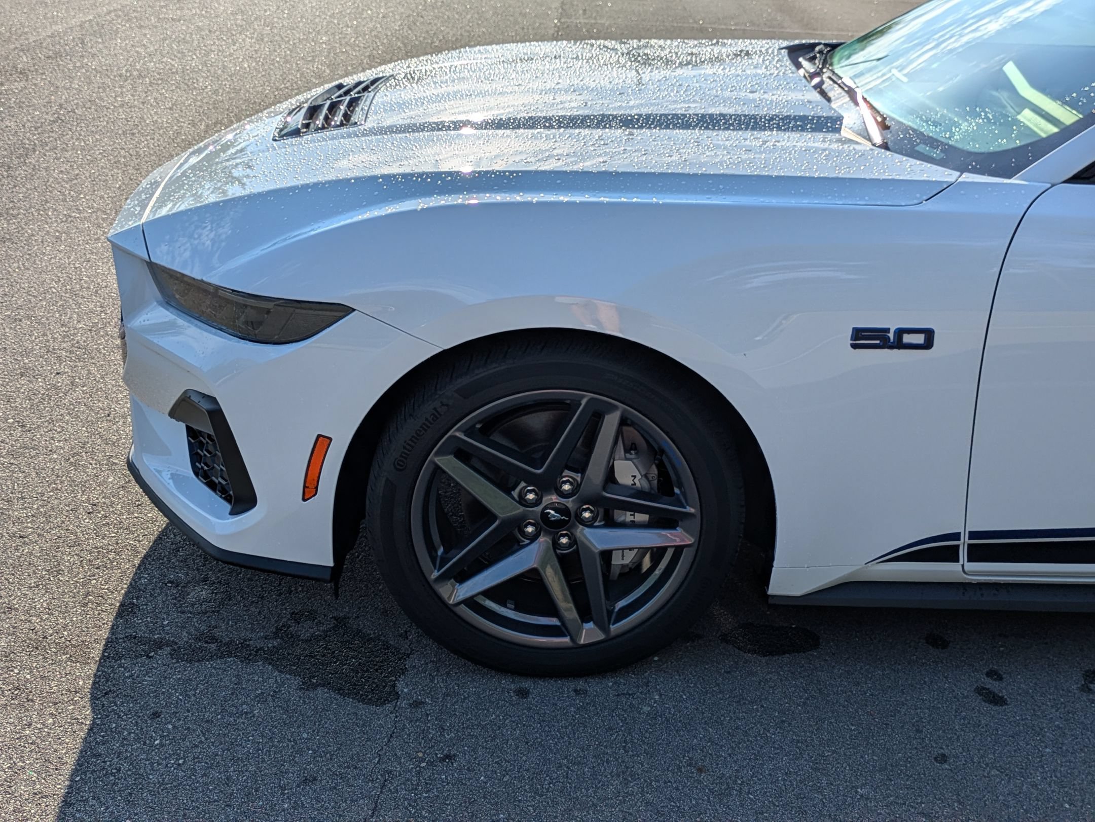 Certified 2024 Ford Mustang GT Premium RWD image 11