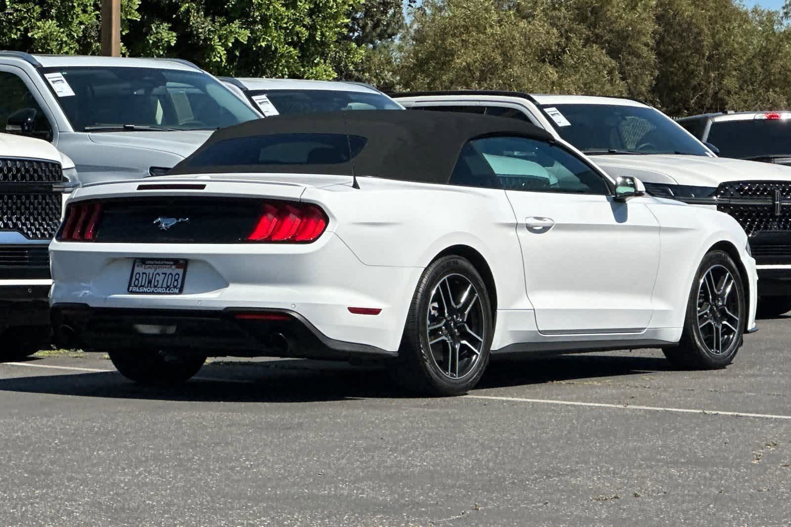 Certified 2018 Ford Mustang Premium w/ Equipment Group 201A RWD image 2