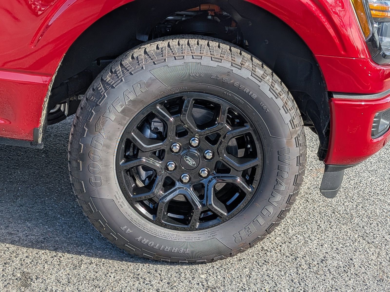 Certified 2025 Ford F150 XLT w/ Equipment Group 302A MID image 14