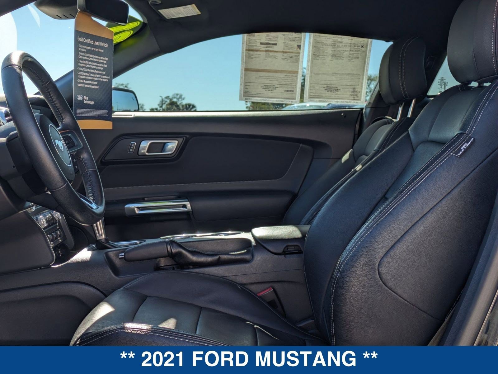 Certified 2021 Ford Mustang EcoBoost image 16