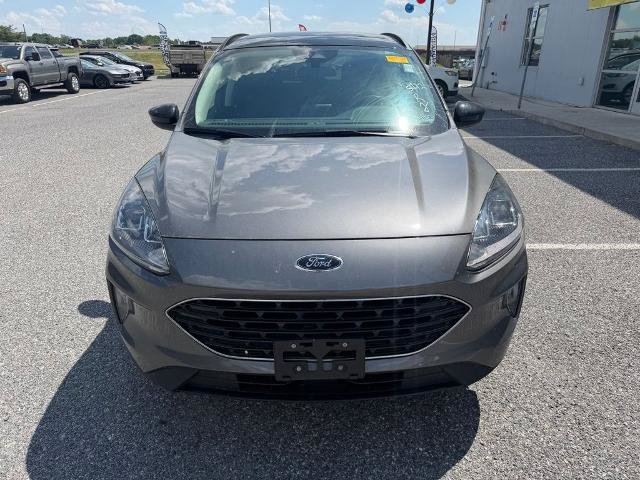 Certified 2022 Ford Escape SEL w/ SEL Stealth AWD Package image 3