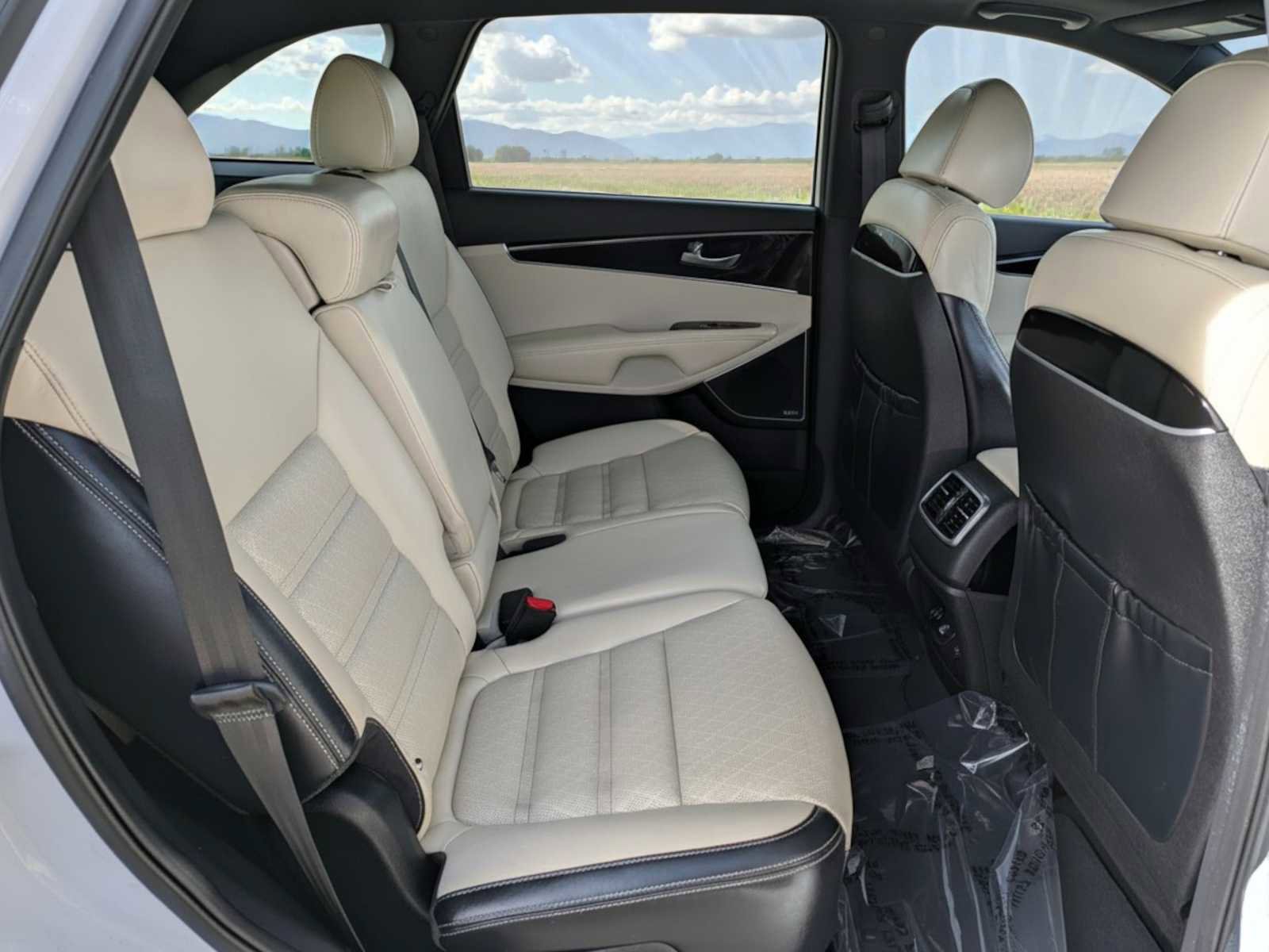 Used 2018 Kia Sorento SX image 24