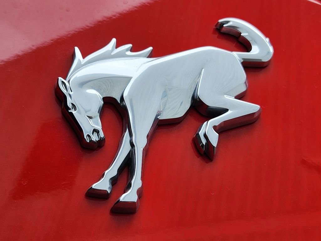 Certified 2021 Ford Bronco Big Bend image 17