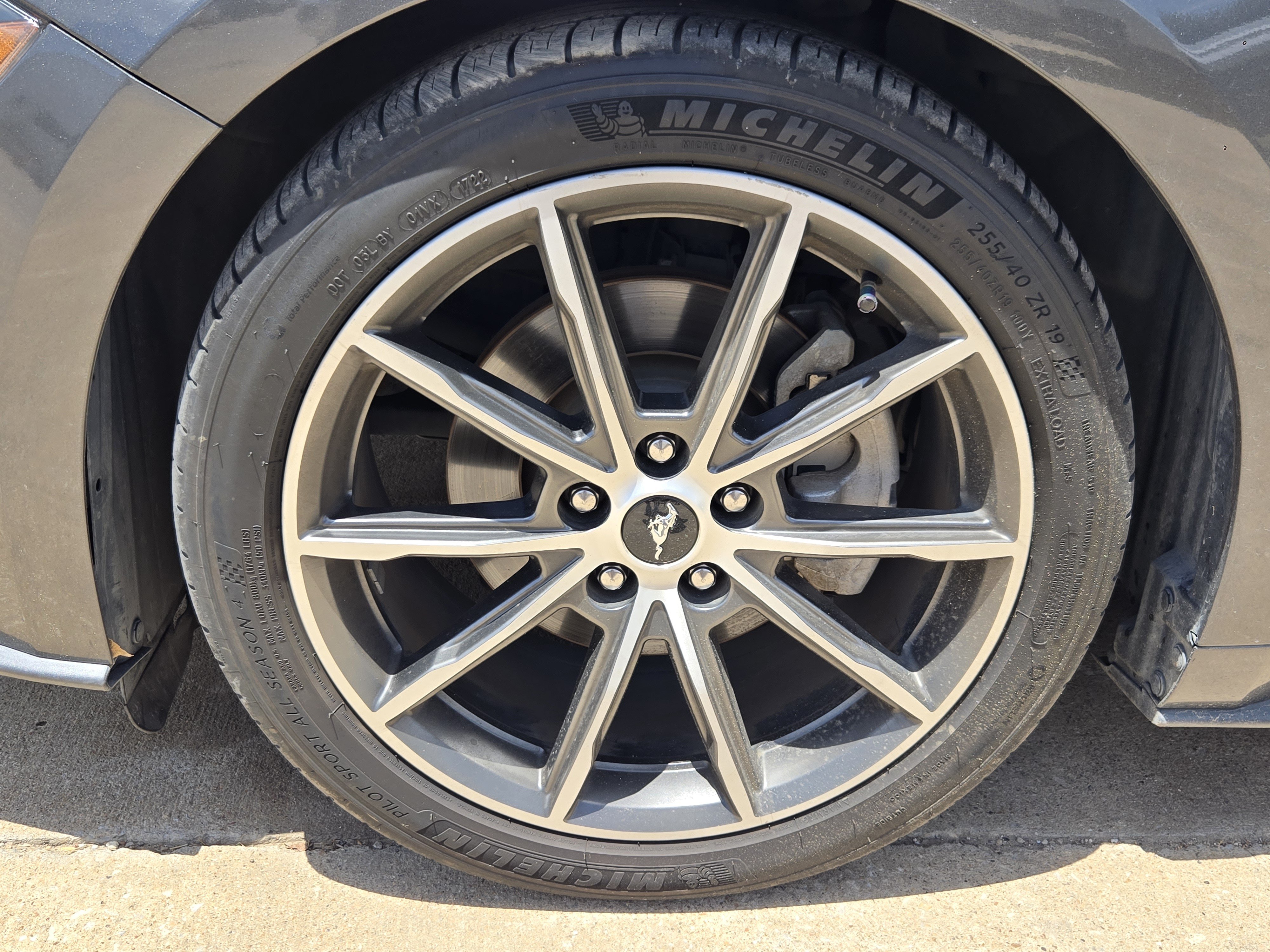 Certified 2019 Ford Mustang Premium w/ Equipment Group 201A RWD image 9