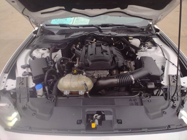 Certified 2020 Ford Mustang Premium image 13