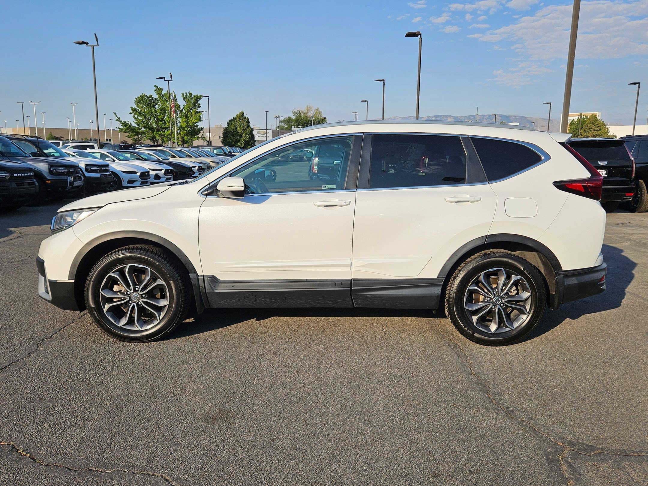 Used 2020 Honda CR-V EX-L image 9
