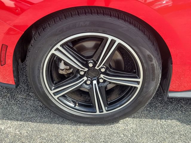 Certified 2024 Ford Mustang Premium RWD image 6