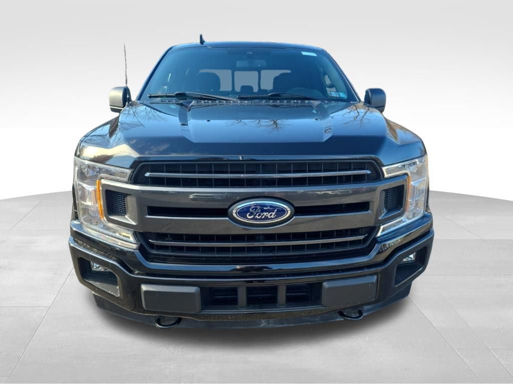 Certified 2019 Ford F150 XLT w/ Equipment Group 302A Luxury image 8