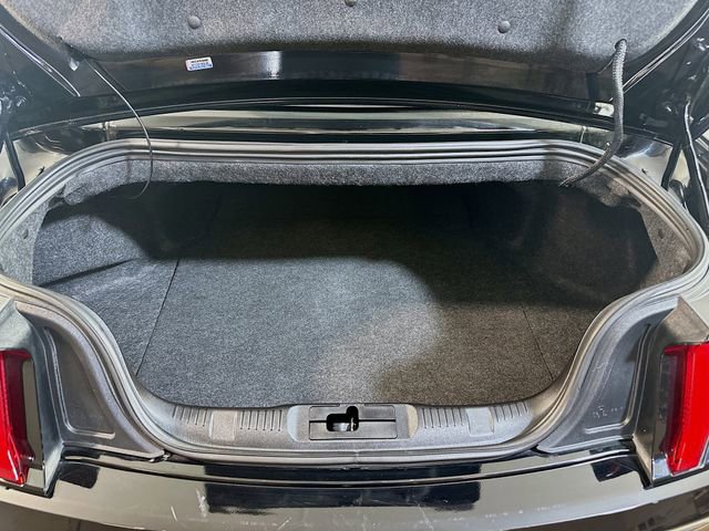 Certified 2023 Ford Mustang Premium image 14