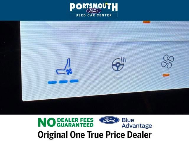 Certified 2024 Ford Expedition Platinum image 19