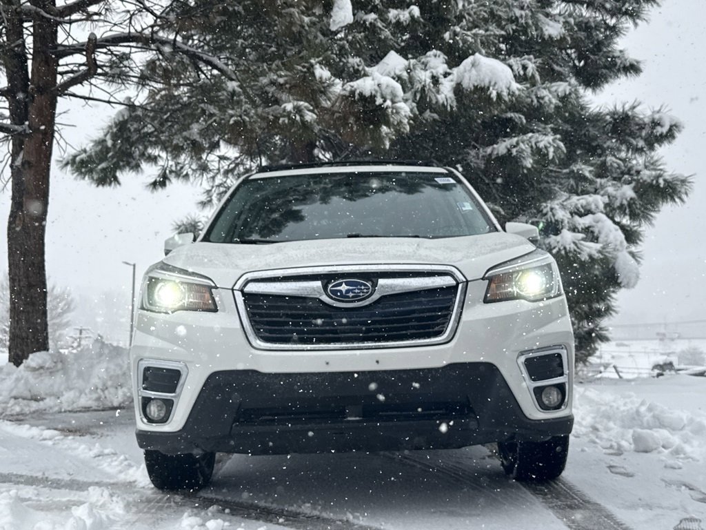 Used 2019 Subaru Forester Limited image 2