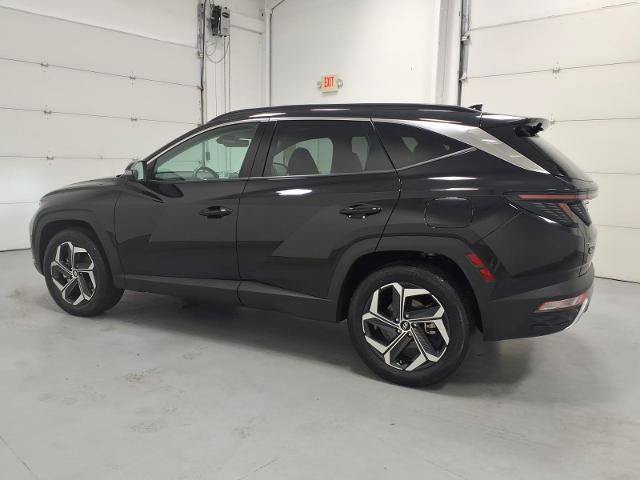 Used 2024 Hyundai Tucson Limited AWD/4WD image 6