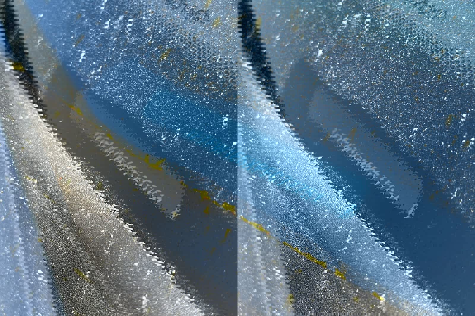 Certified 2023 Ford F150 Tremor w/ Trailer Tow Package image 12