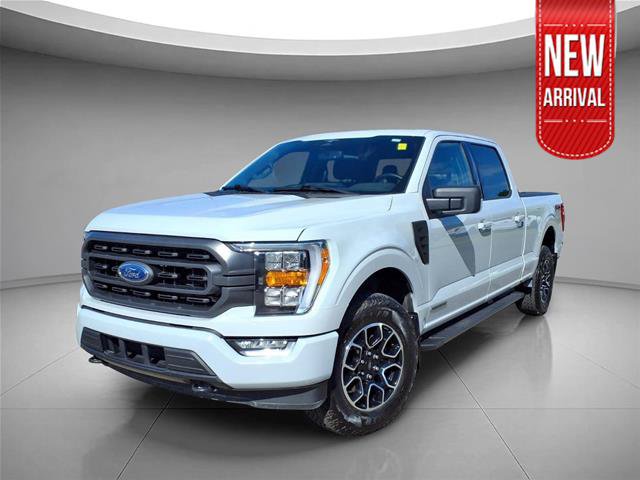 Certified 2023 Ford F150 XLT w/ Equipment Group 302A High AWD/4WD image 1