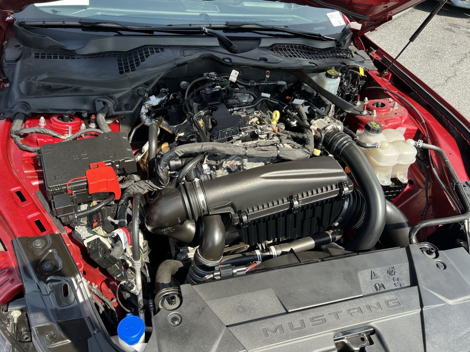 Certified 2024 Ford Mustang Premium RWD image 25