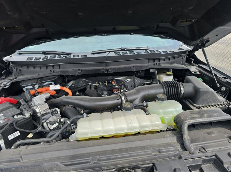 Certified 2024 Ford F150 Platinum image 17