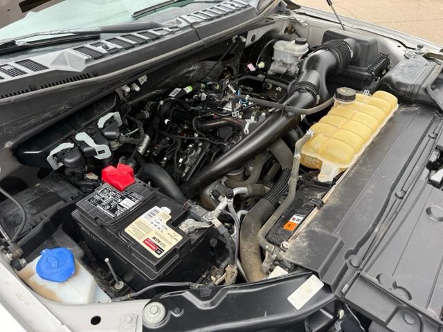 Certified 2019 Ford F150 XL w/ Equipment Group 101A Mid RWD image 38