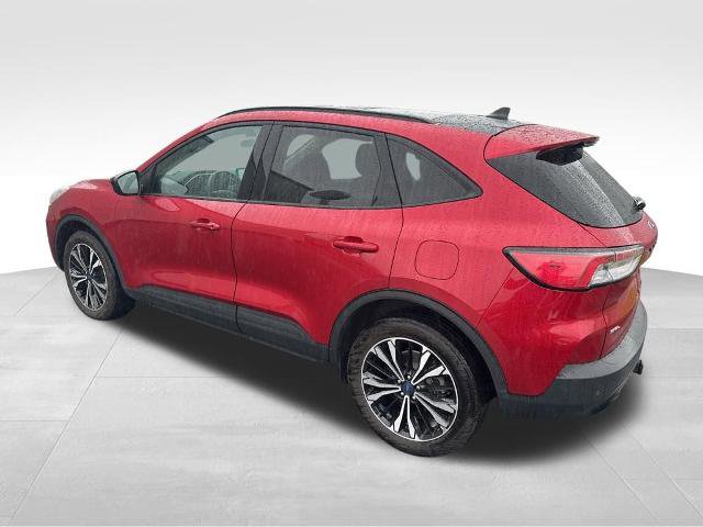 Certified 2022 Ford Escape SEL w/ SEL Stealth AWD Package image 5