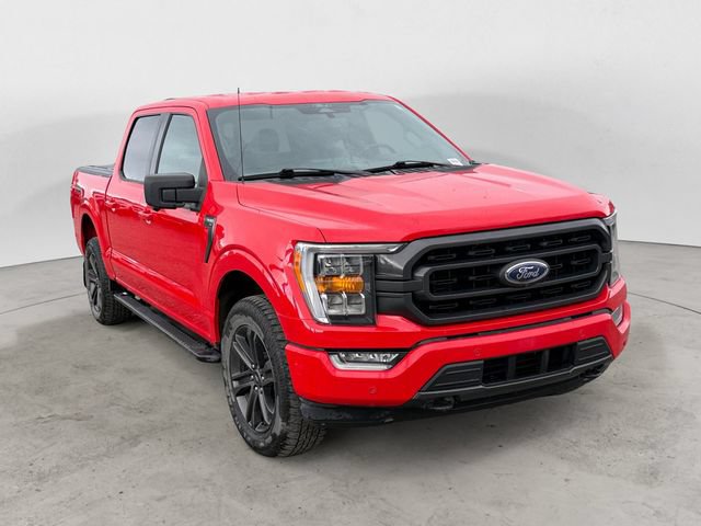 Certified 2021 Ford F150 XLT w/ Equipment Group 302A High AWD/4WD image 3