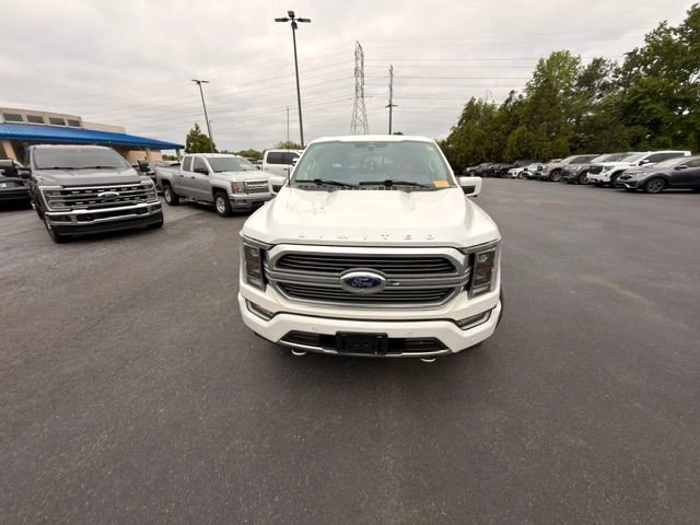 Certified 2023 Ford F150 Limited AWD/4WD image 17