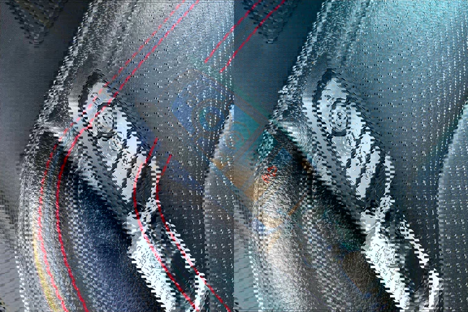 Certified 2020 Ford Expedition Limited w/ Equipment Group 303A image 14