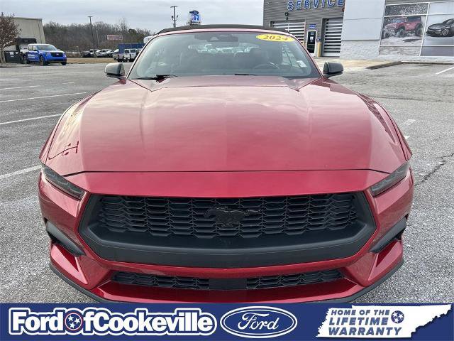 Certified 2024 Ford Mustang Premium image 9